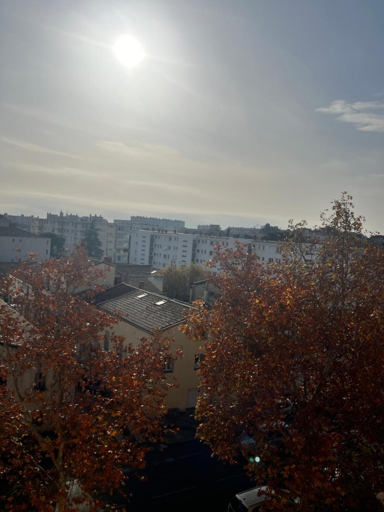Confort Montpellier